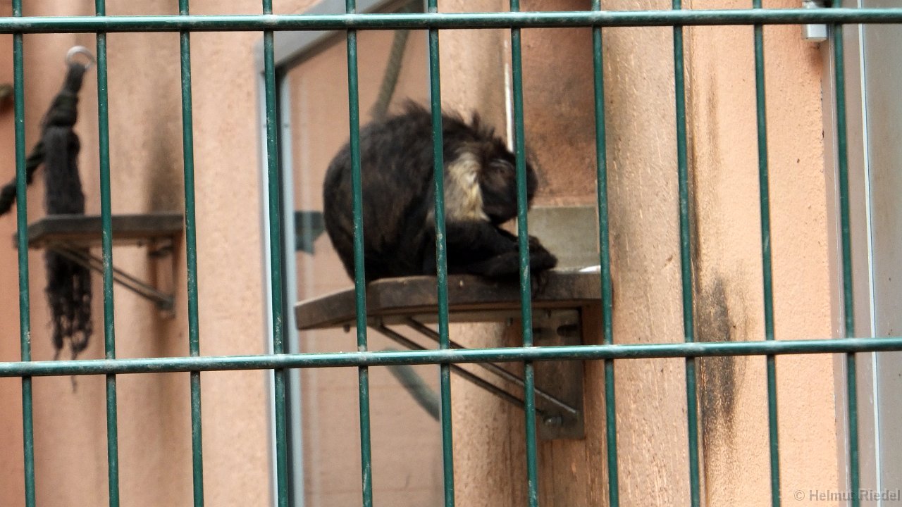 DSCF1839